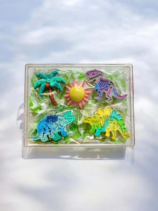 Dino Discovery Box🦖🏝️☀️